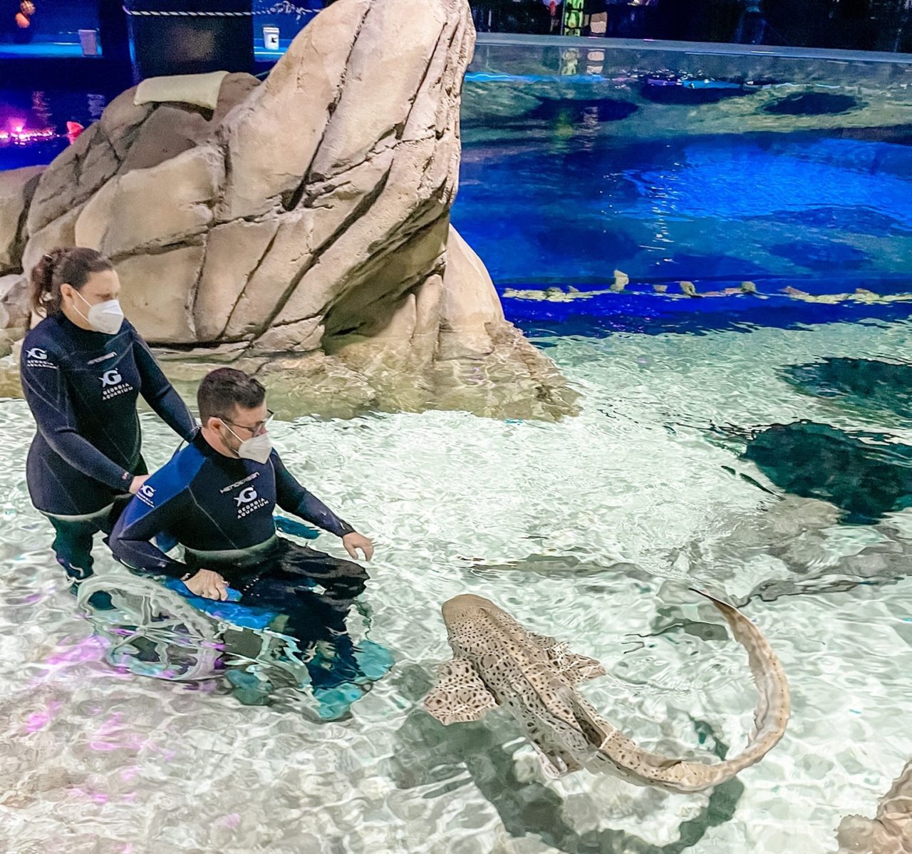 Shepherd patient and staff member enjoying recreational therapy at the aquarium.